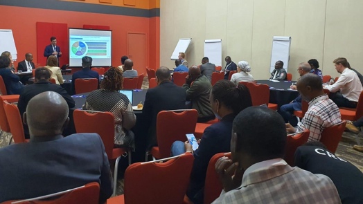 denis presentation 2